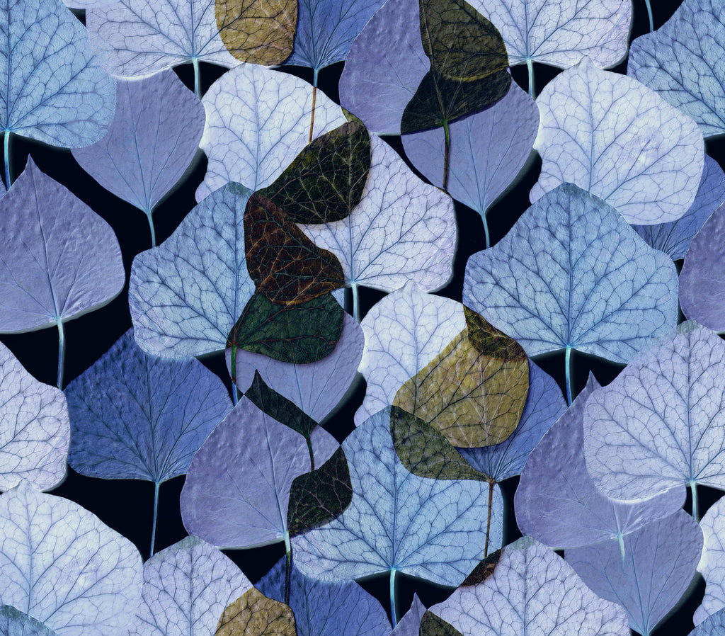 Lavender Canopy, peel and stick wallpaper, soft translucent leaves overlap in a calming botanical arrangement, blending