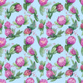Sky Protea