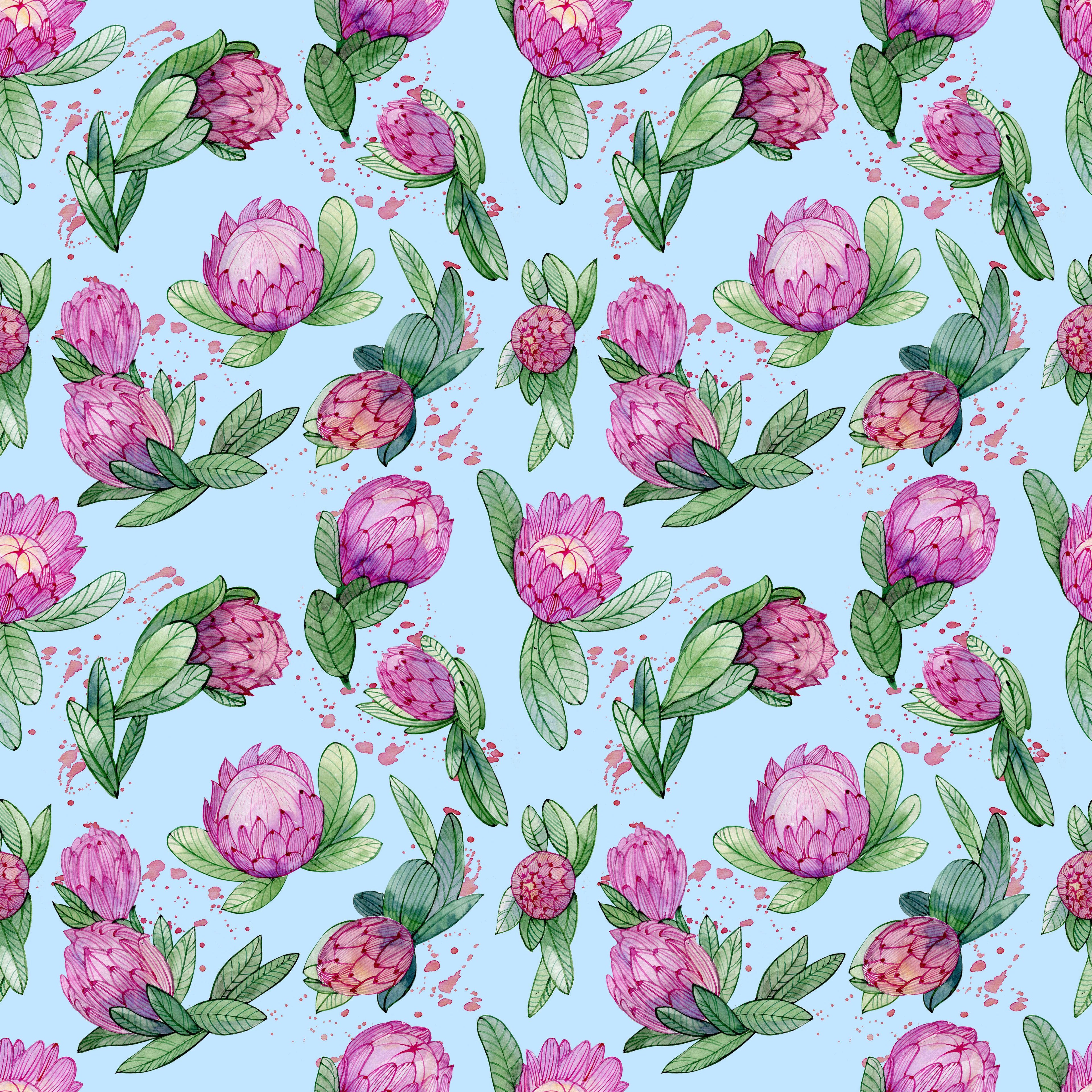 Sky Protea