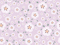 Blush Meadow
