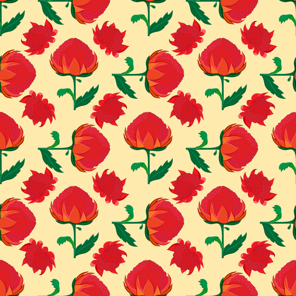 Scarlet Protea, peel and stick wallpaper, bold illustrated protea blooms repeat across a warm buttery background