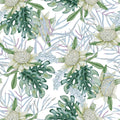 Tropical Protea