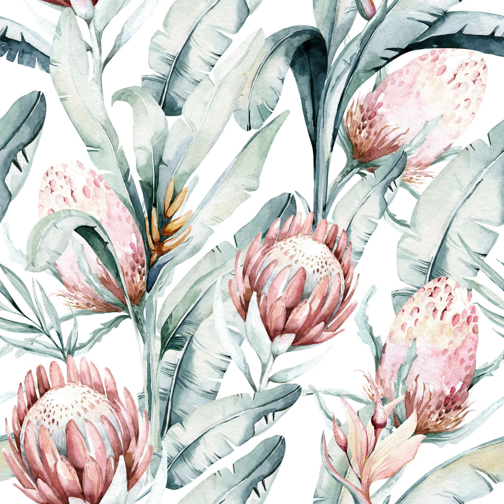 Blush Tropics, peel and stick wallpaper, soft watercolor protea blooms mingle with flowing tropical leaves on a clean