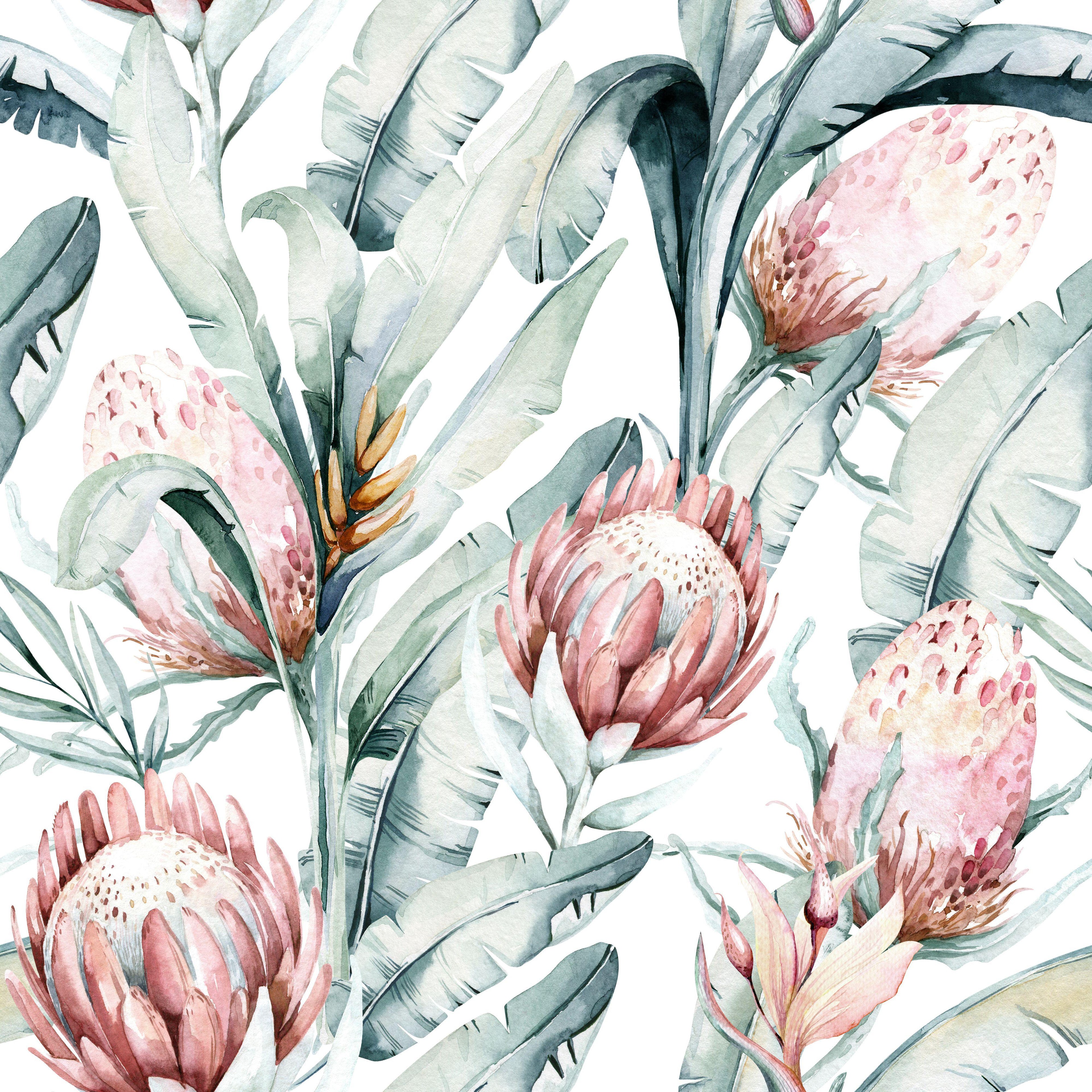 Blush Tropics