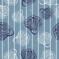 Coastal Shells