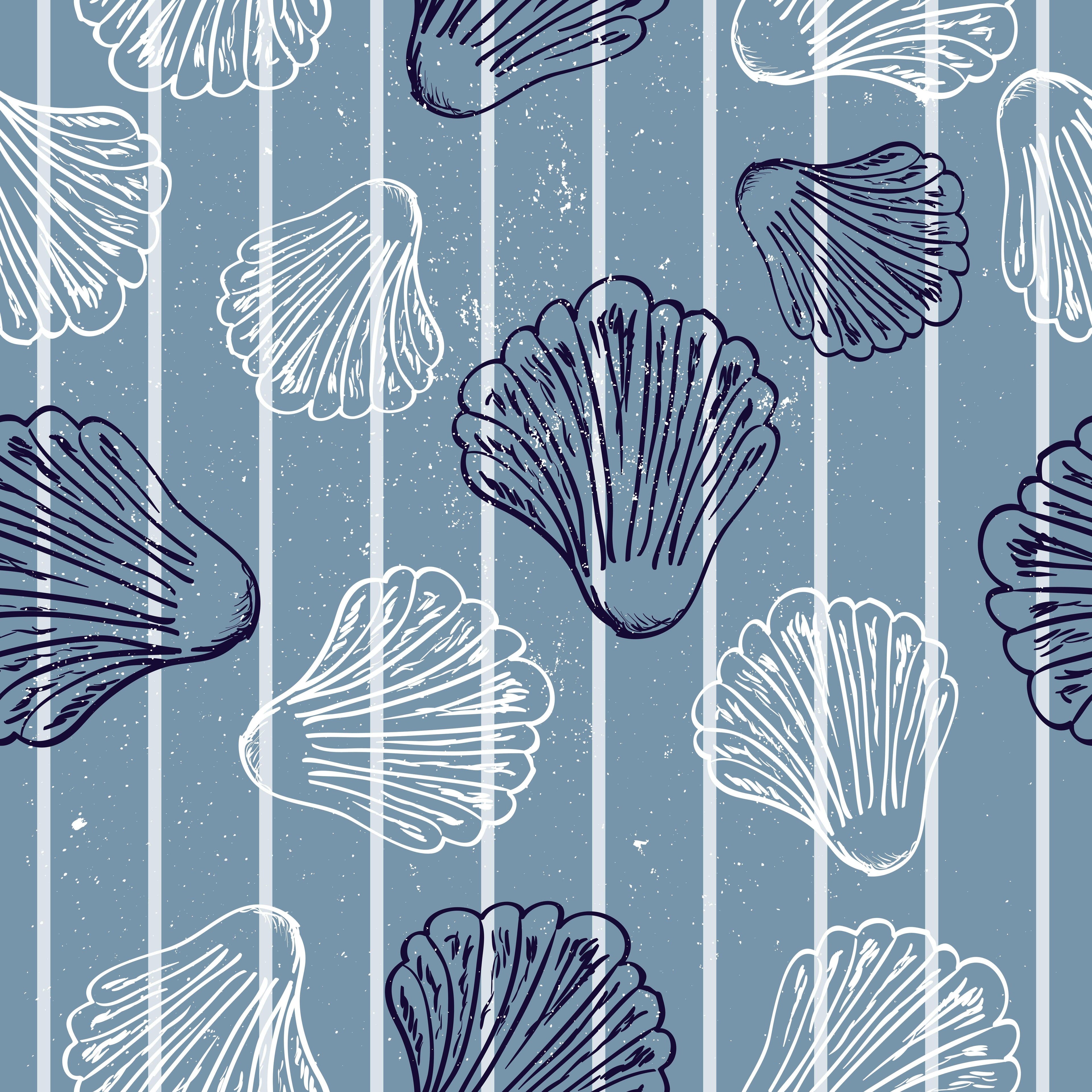 Coastal Shells