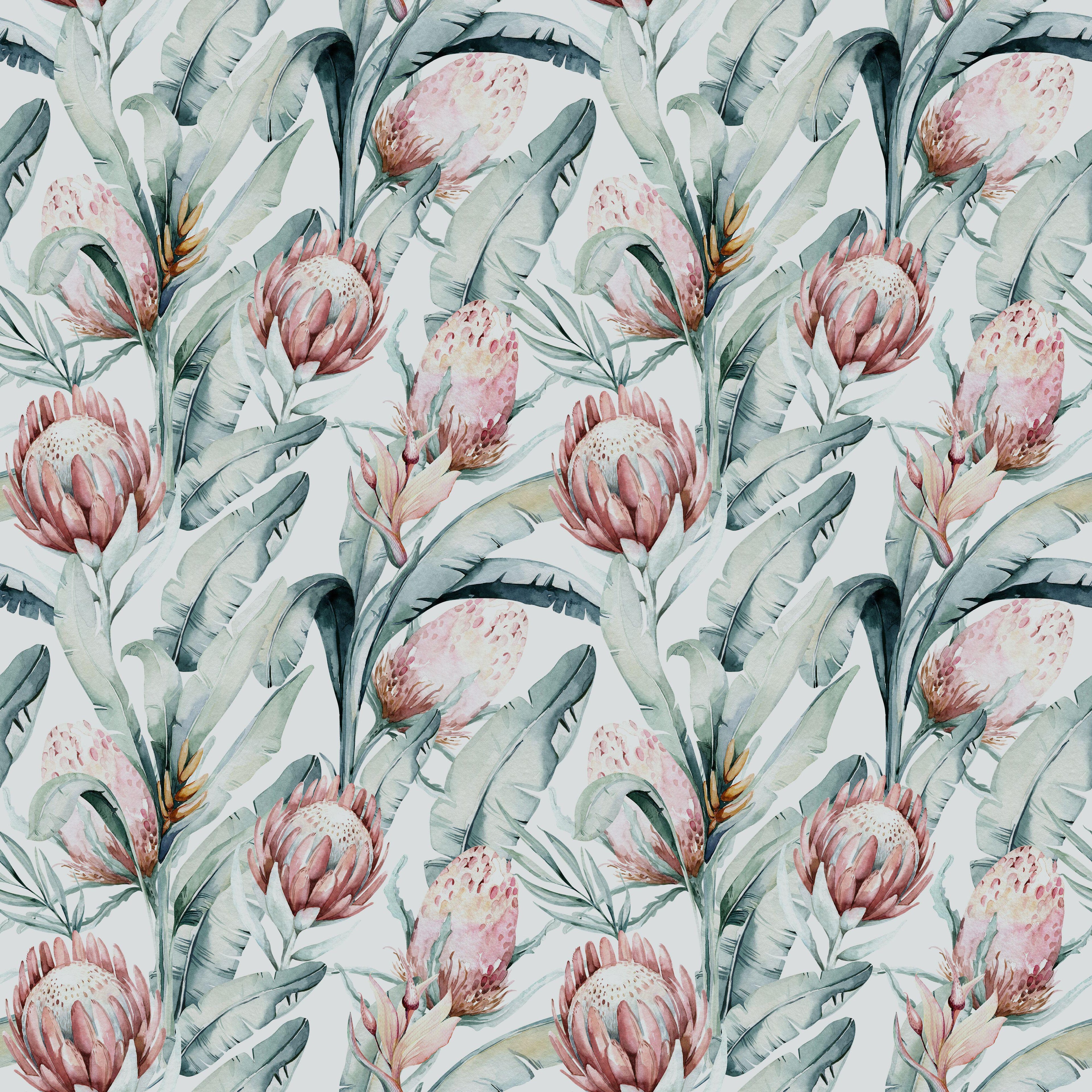 Protea Canopy