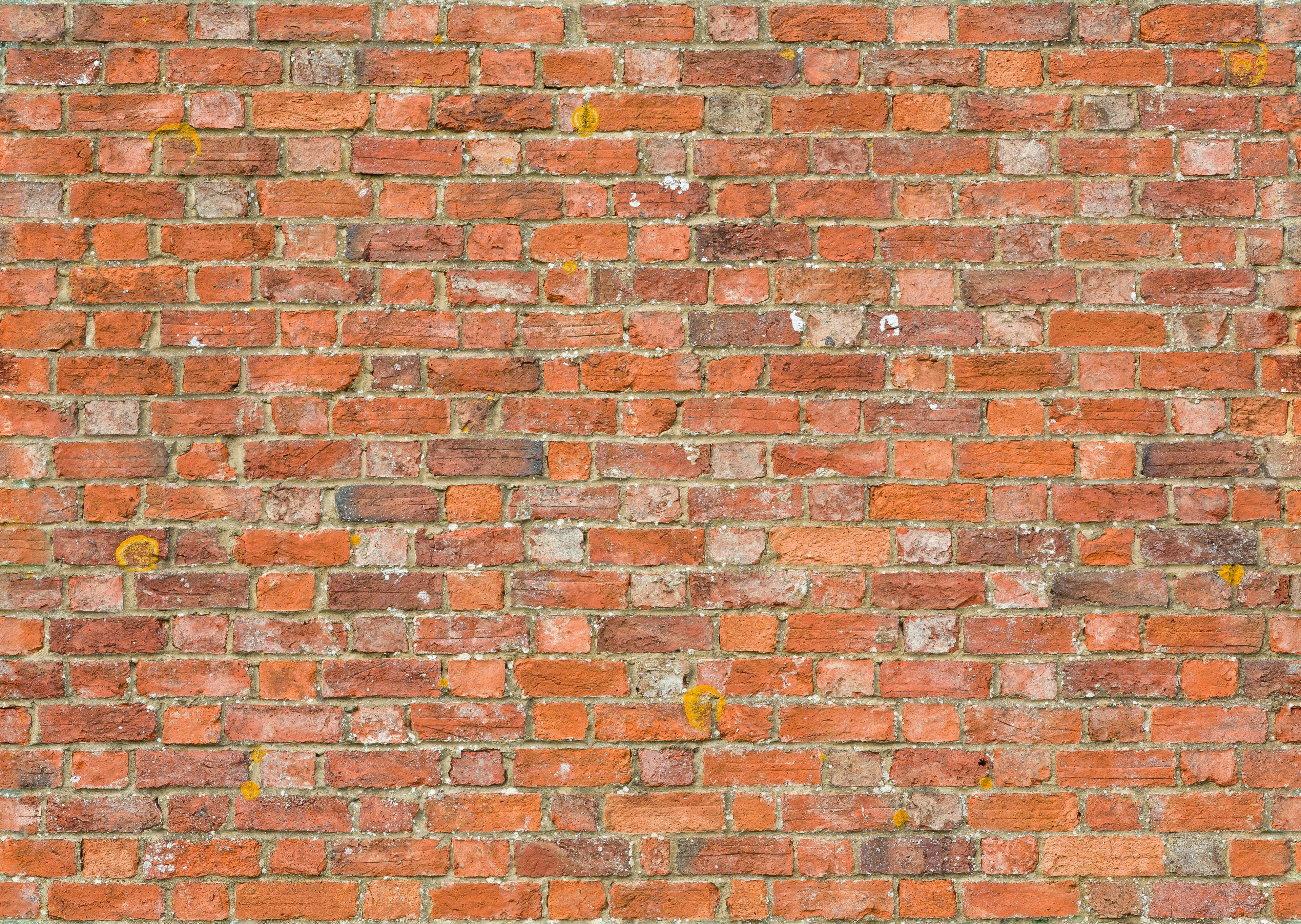 Rustic Brick