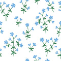 Meadow Sprigs