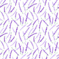 Lavender Fields