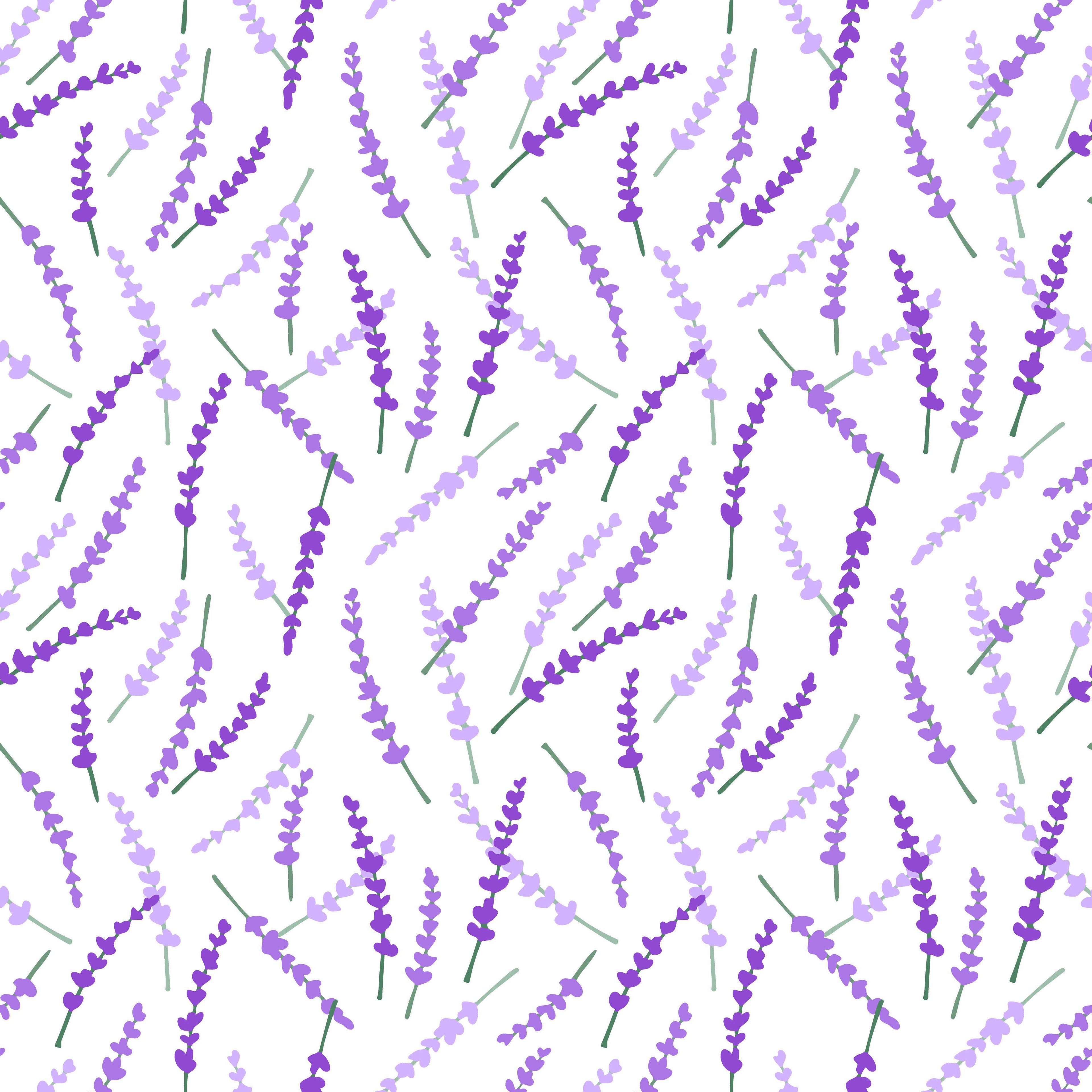 Lavender Fields