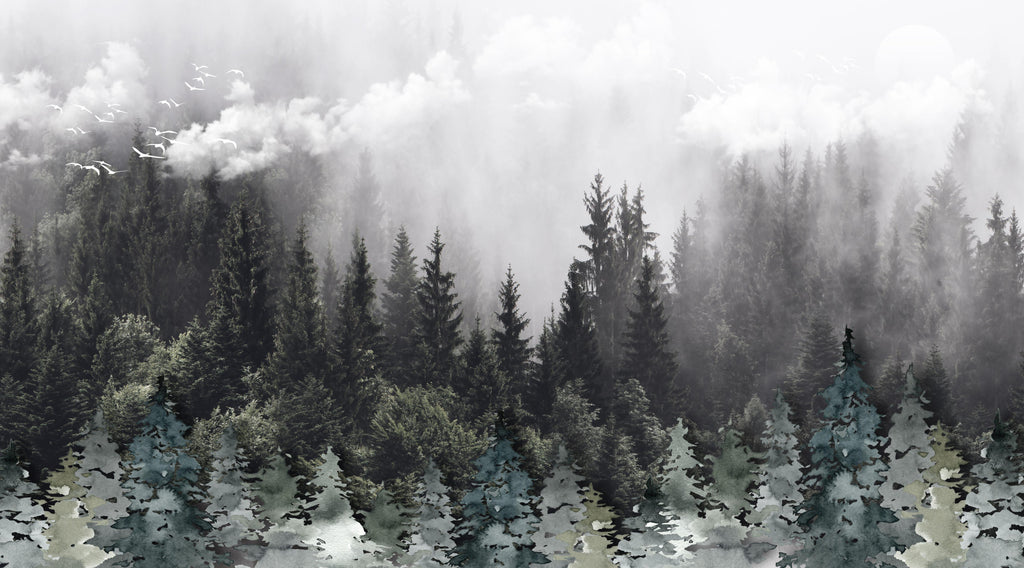 Misty Pines, peel and stick wallpaper, serene woodland scene featuring mist drifting through towering evergreen trees