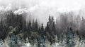 Misty Pines