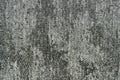Charcoal Loom