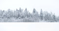 Winter Stillness