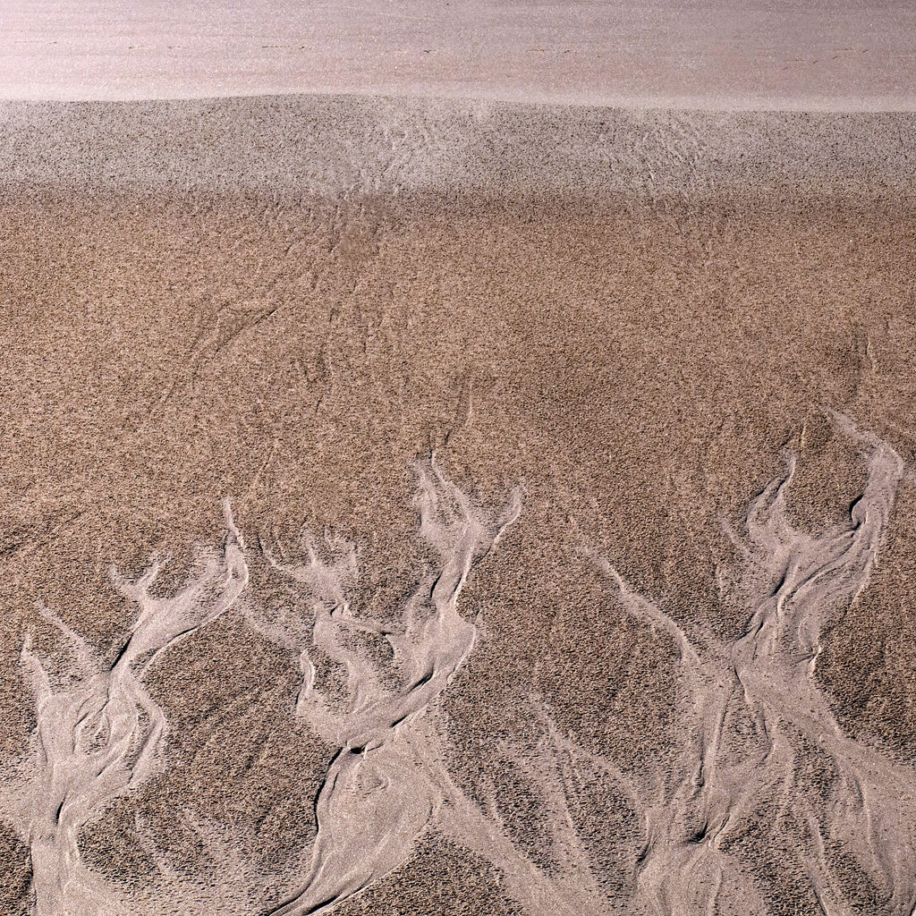 Desert Flow, peel and stick wallpaper, natural sand textures form gentle, flowing patterns that bring warmth and organic