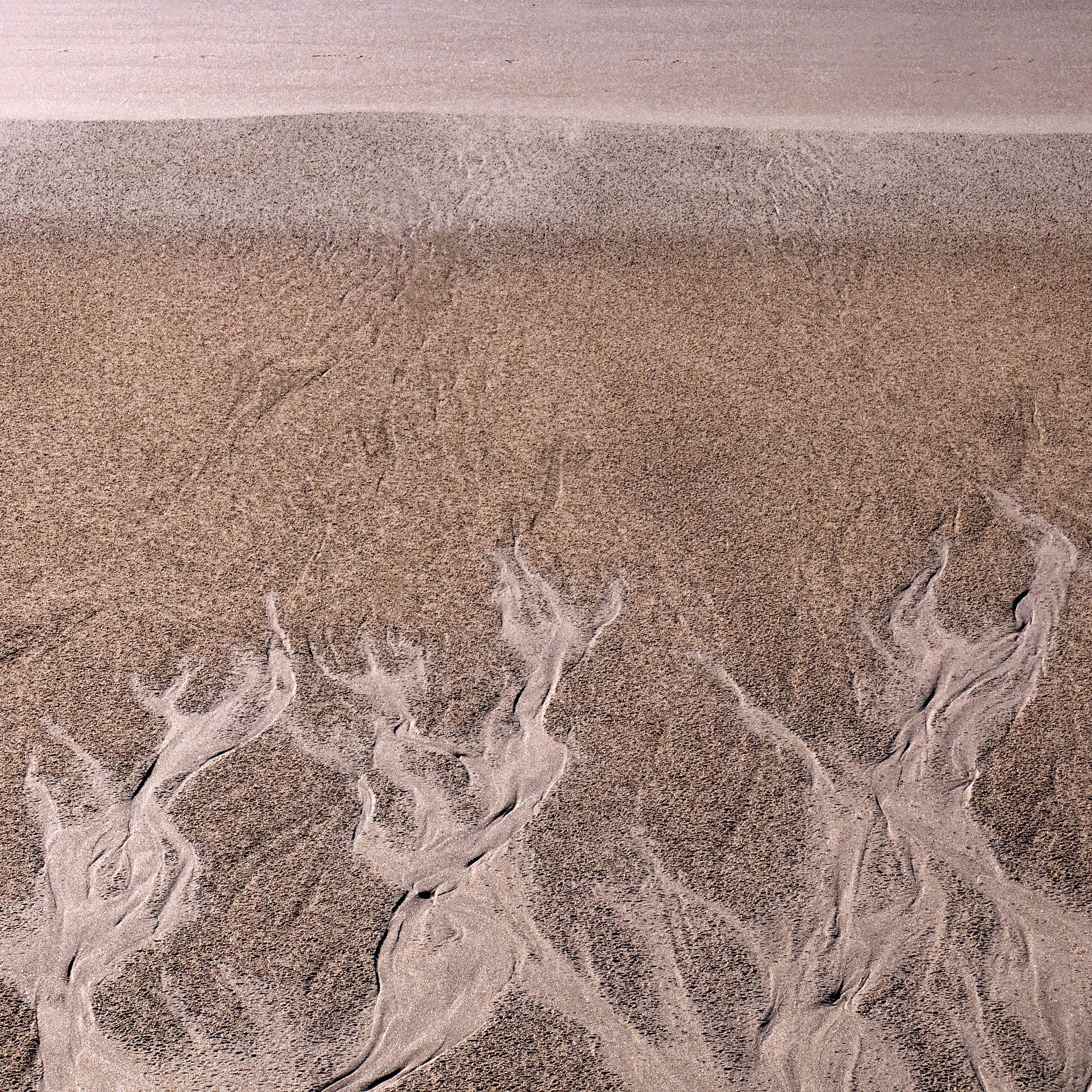 Desert Flow