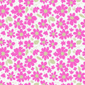 Blossom Garden