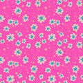 Candy Blooms