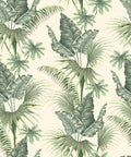 Palm Harmony