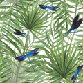 Tropical Dragonflies
