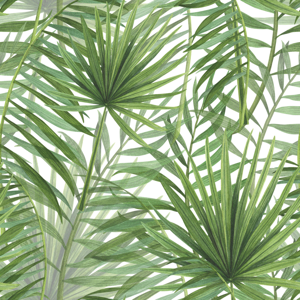 Palm Canopy, peel and stick wallpaper, layered watercolor palm leaves overlap across a light background, creating fresh