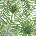 Palm Canopy