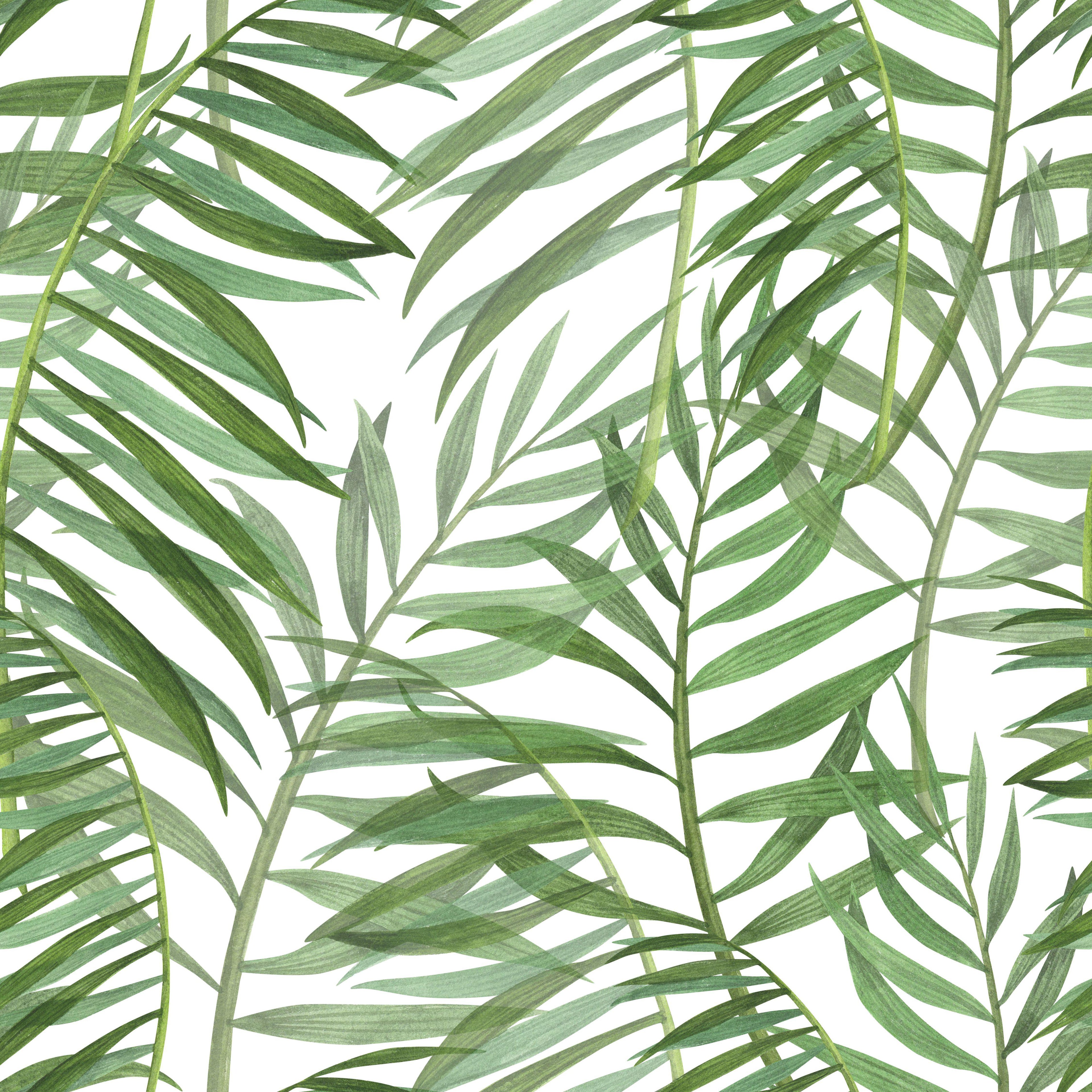 Palm Whisper