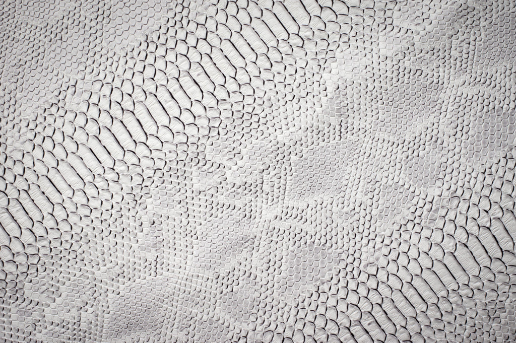 Python Skin wallpaper in white and grey snakeskin