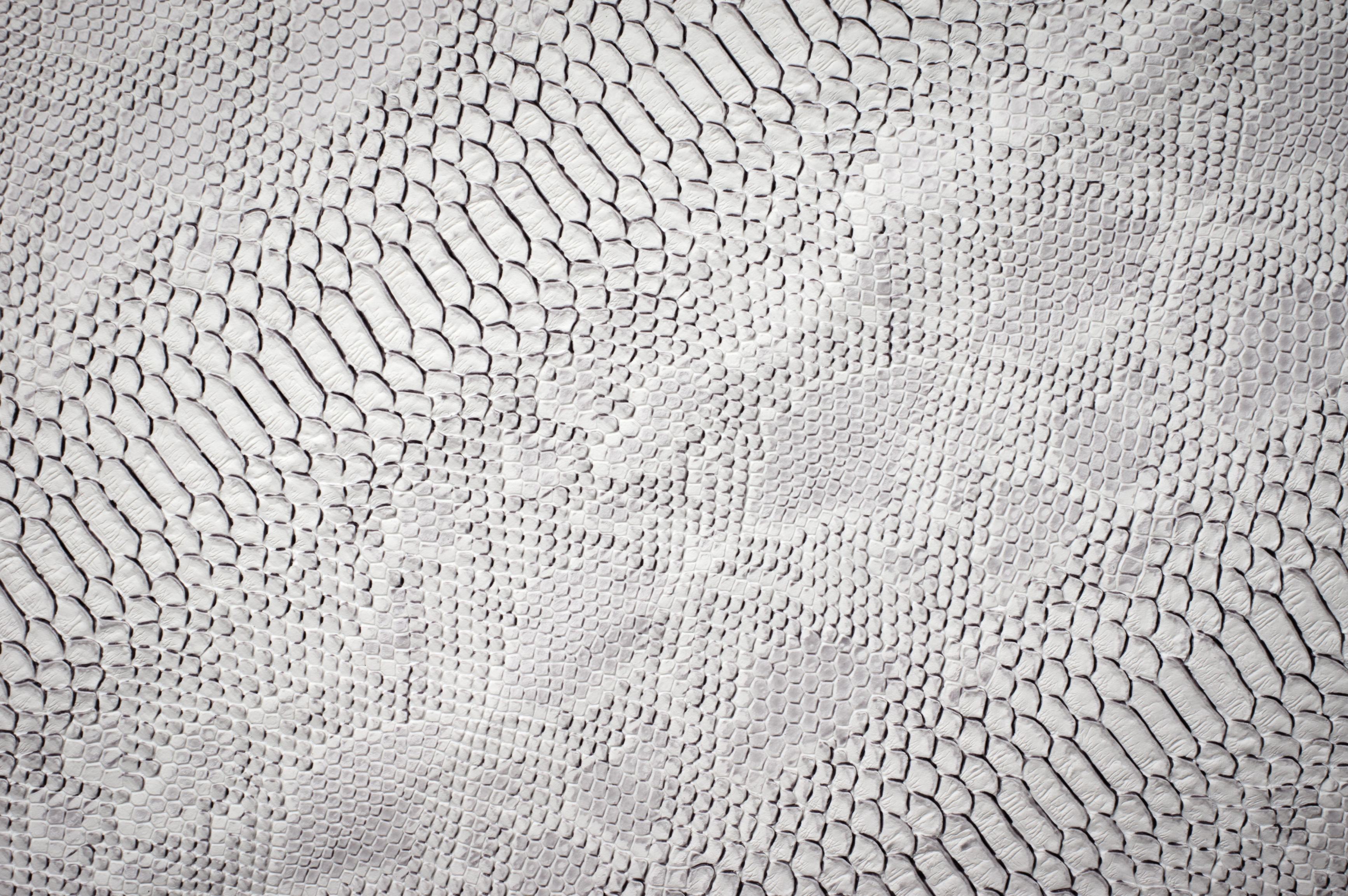 Python Skin wallpaper in white and grey snakeskin