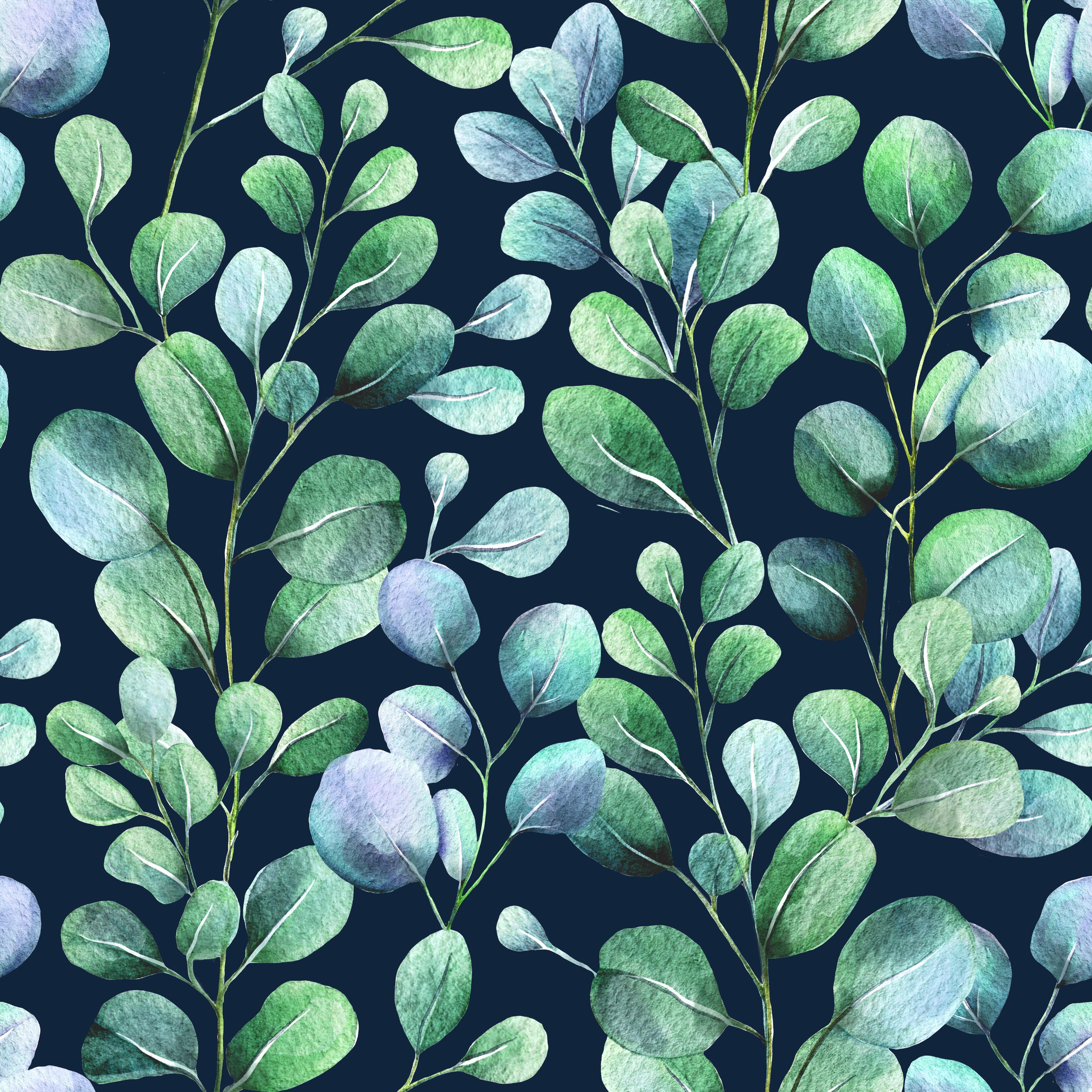 Midnight Eucalyptus