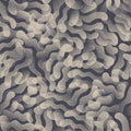 Sand Currents