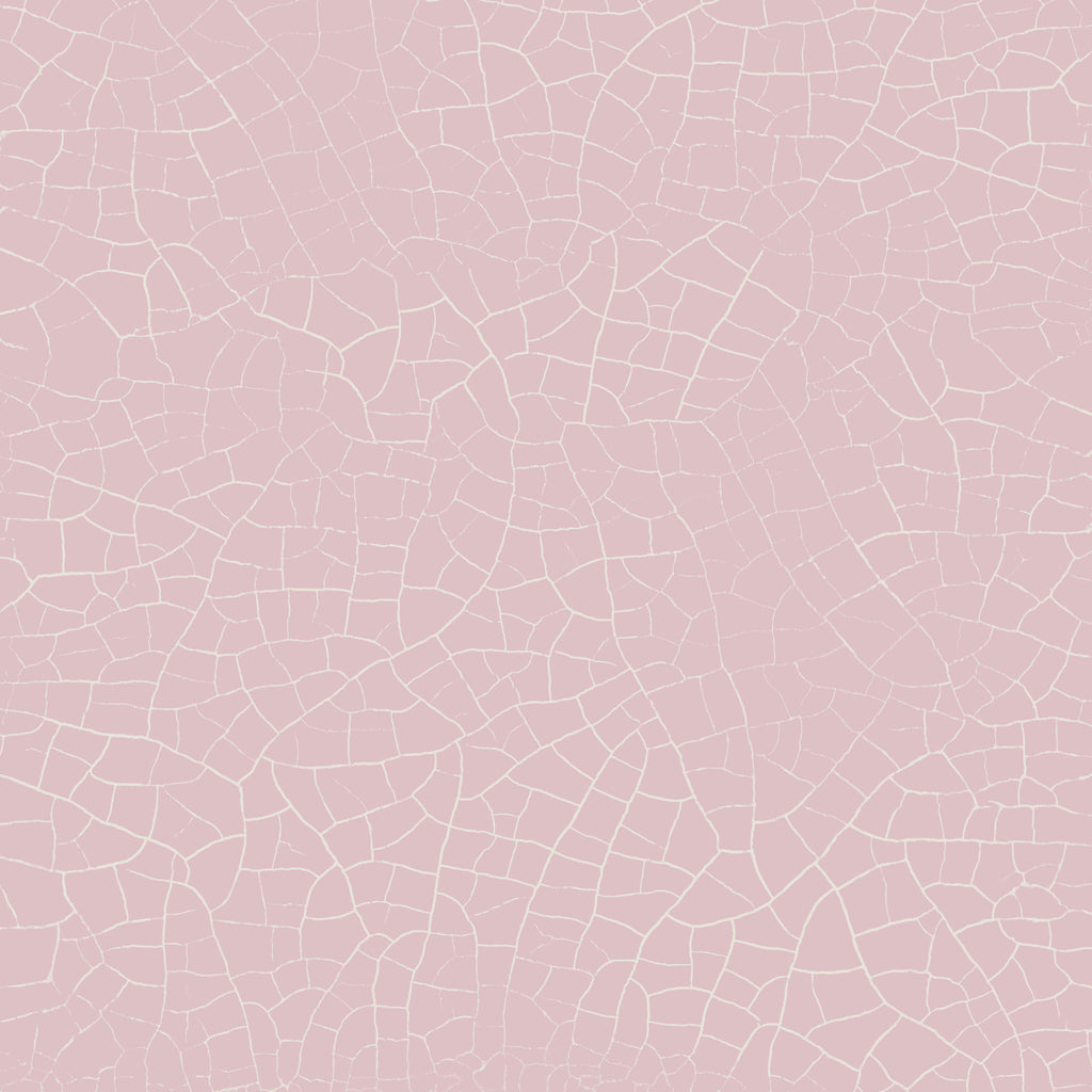 Rose Craquelure, peel and stick wallpaper, soft textured wallpaper inspired by delicate crackle glaze patterns