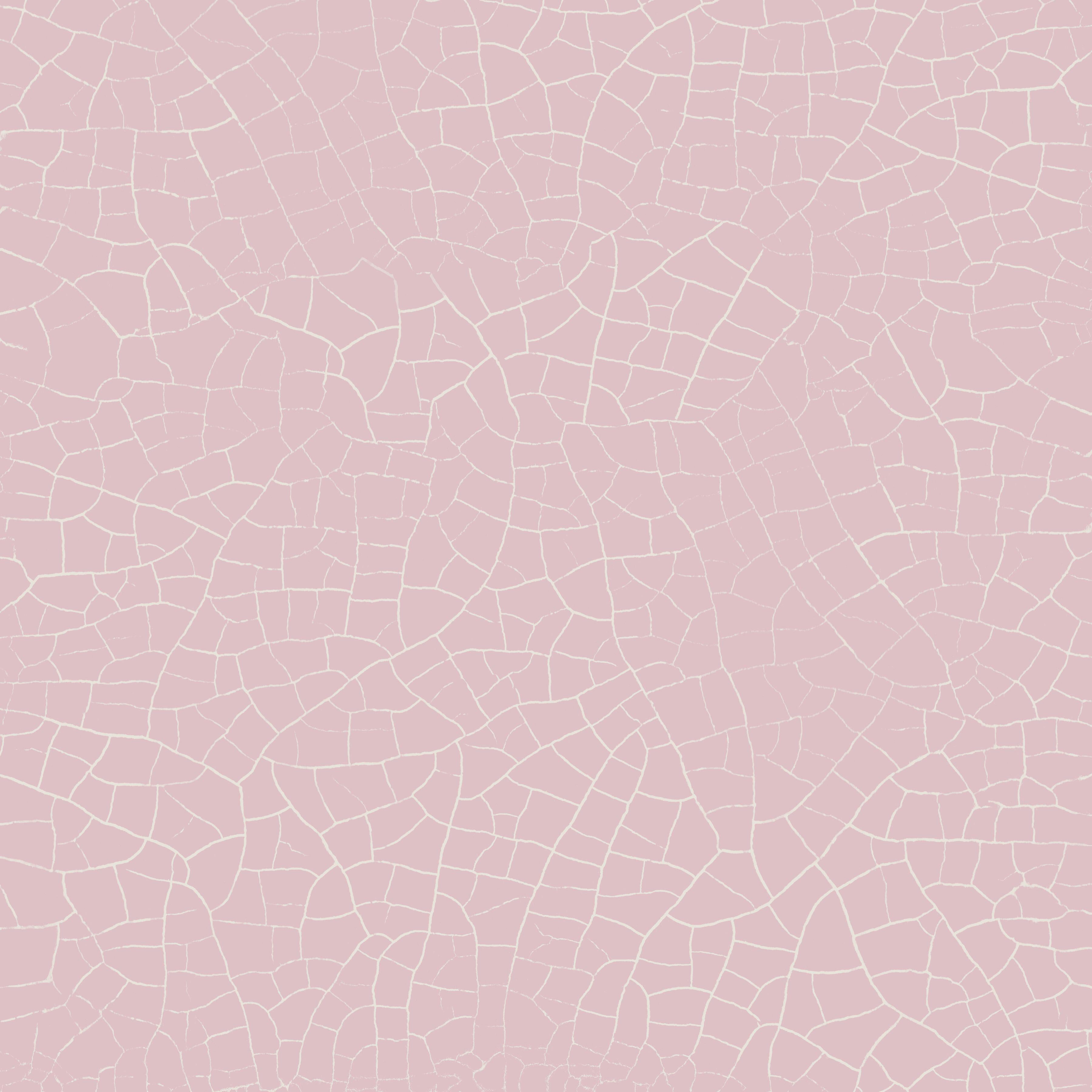 Rose Craquelure