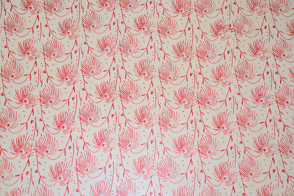 Blush Fern wallpaper with feathery coral fronds on cream