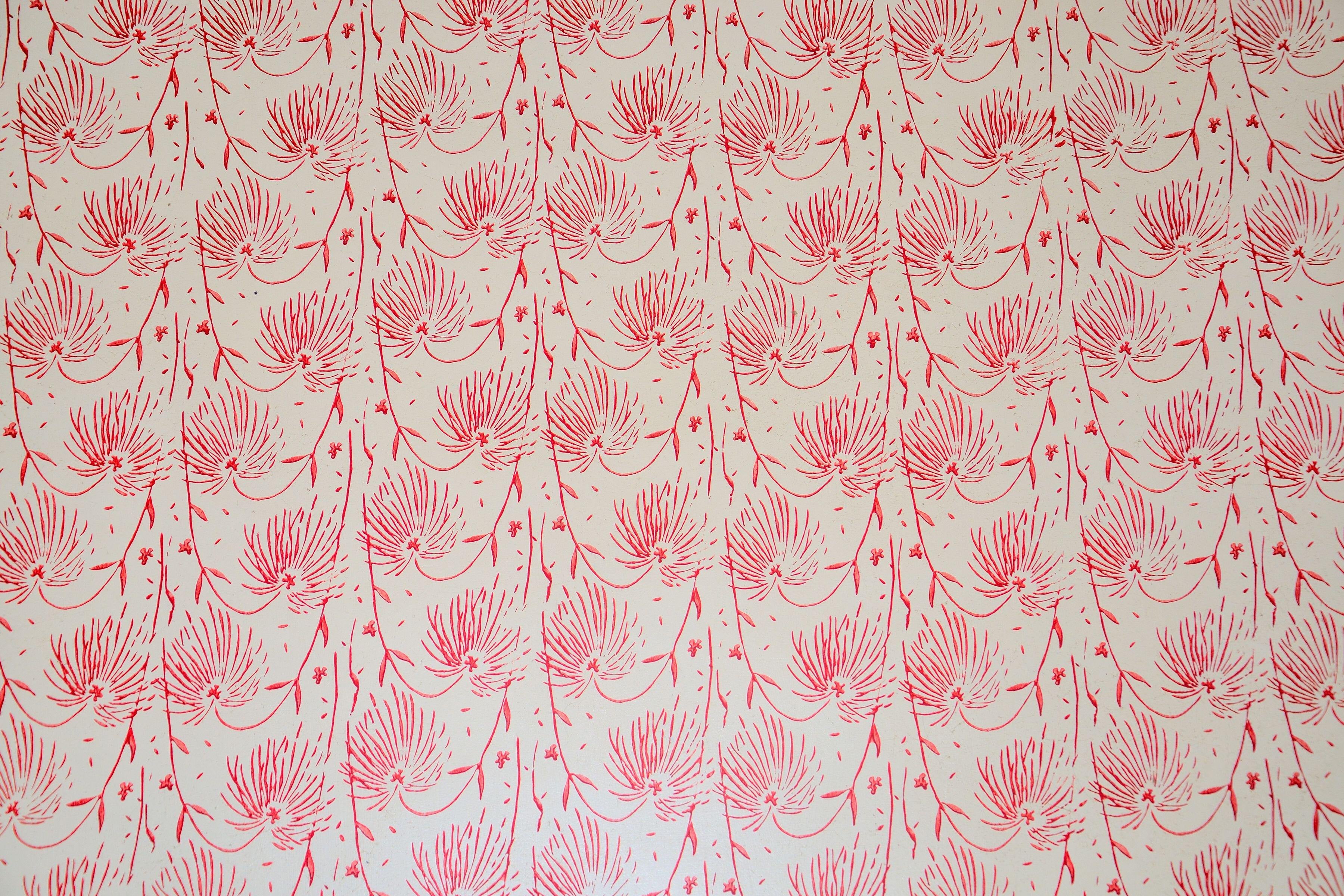 Blush Fern wallpaper with feathery coral fronds on cream