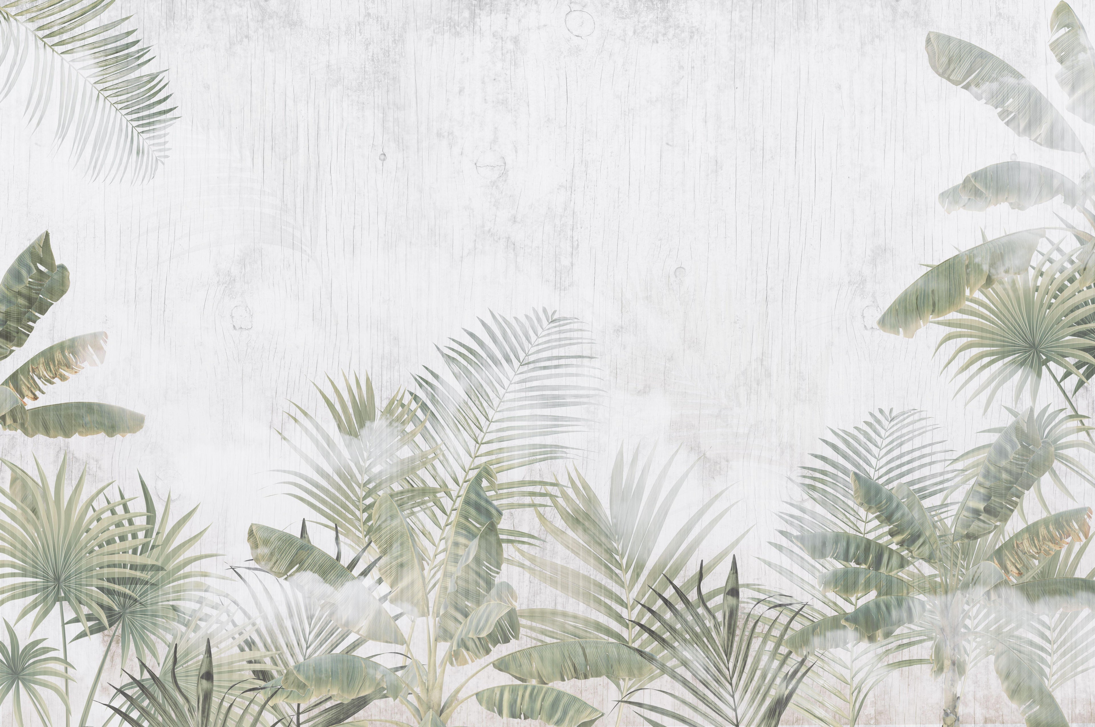 Palm Whisper