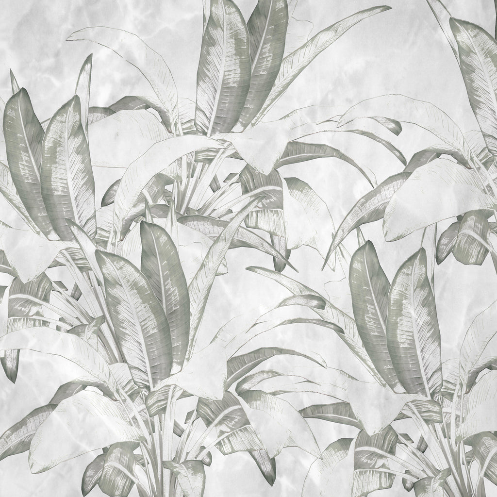 Botanical Calm, peel and stick wallpaper, softly illustrated tropical leaves in muted tones create a refined botanical