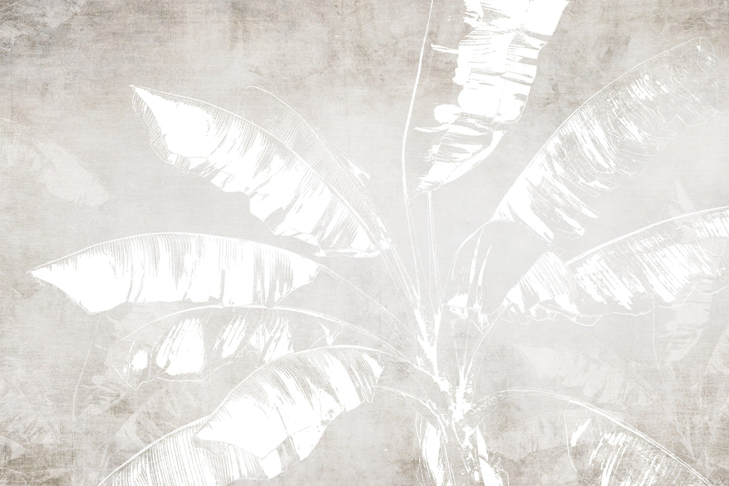 Banana Silhouette, peel and stick wallpaper, large tropical leaves appear as soft silhouettes against a textured neutral