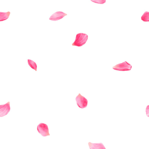 Blush Petals, peel and stick wallpaper, soft pink petals float gently across a clean, airy background, creating a delicate