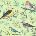 Garden Songbirds