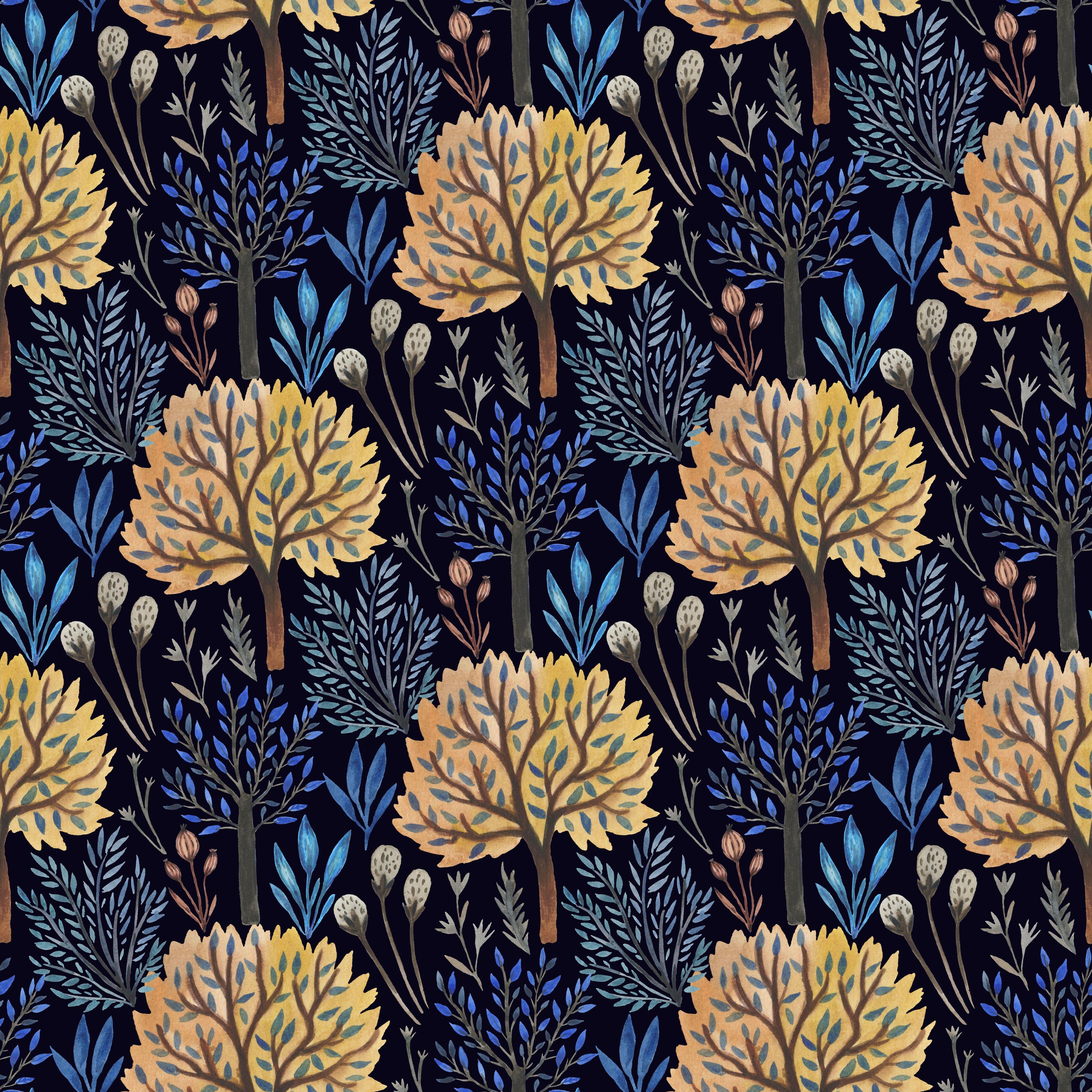 Midnight Forest