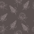 Cocoa Botanicals