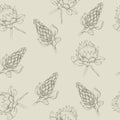 Botanical Sketch
