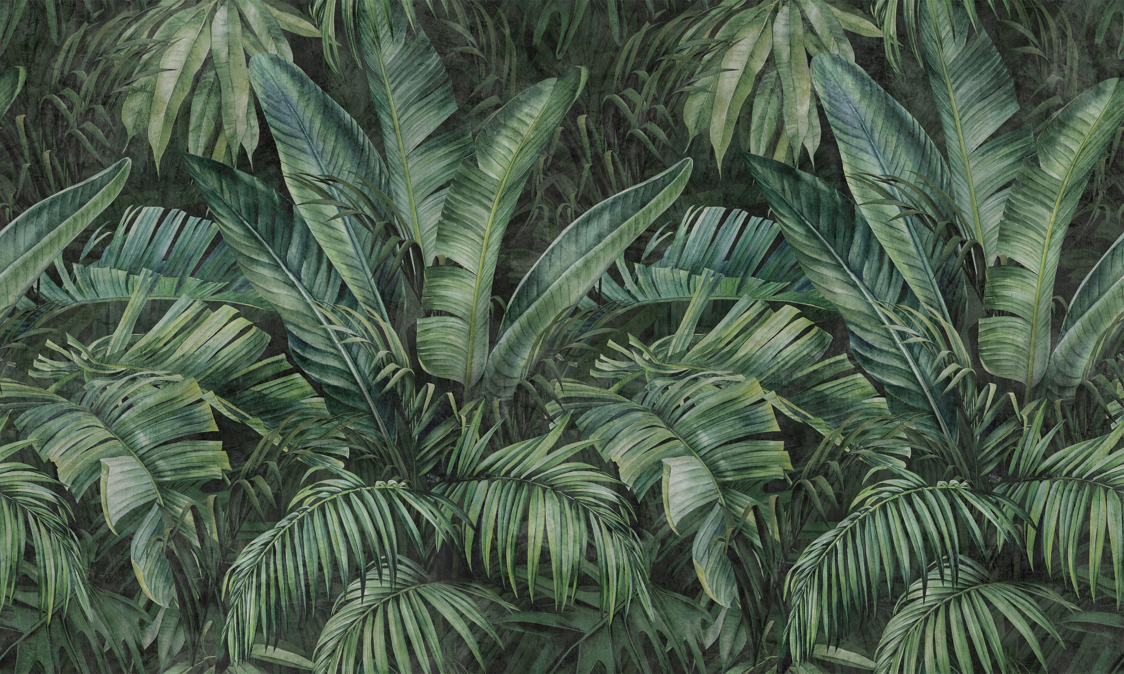 Jungle Layers