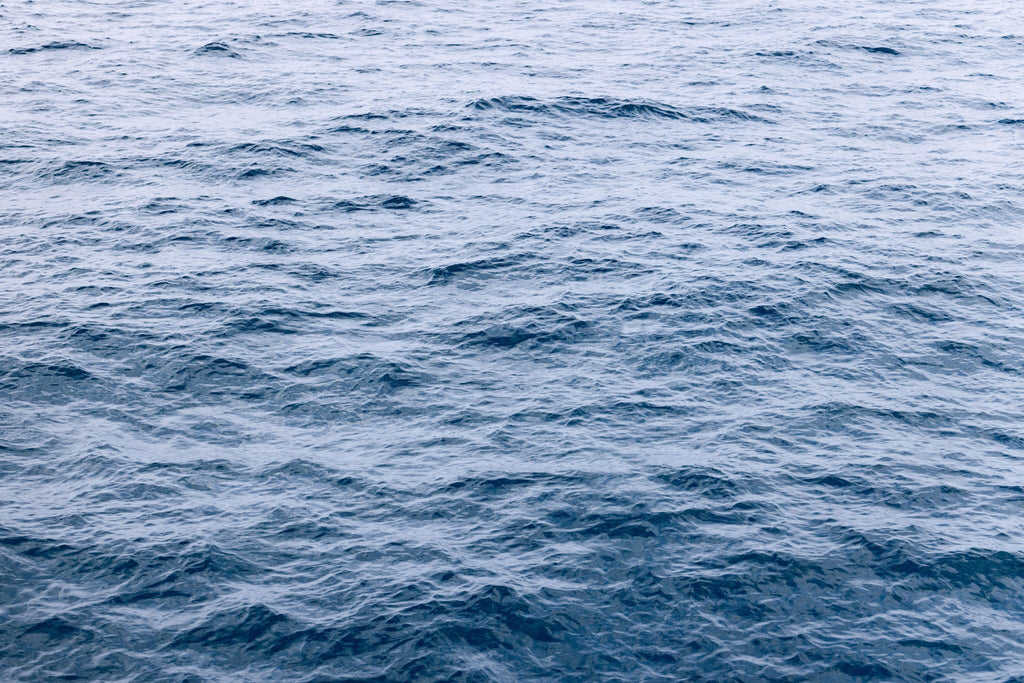 Open Water, peel and stick wallpaper, serene ocean wallpaper capturing gentle waves rolling across a calm blue surface
