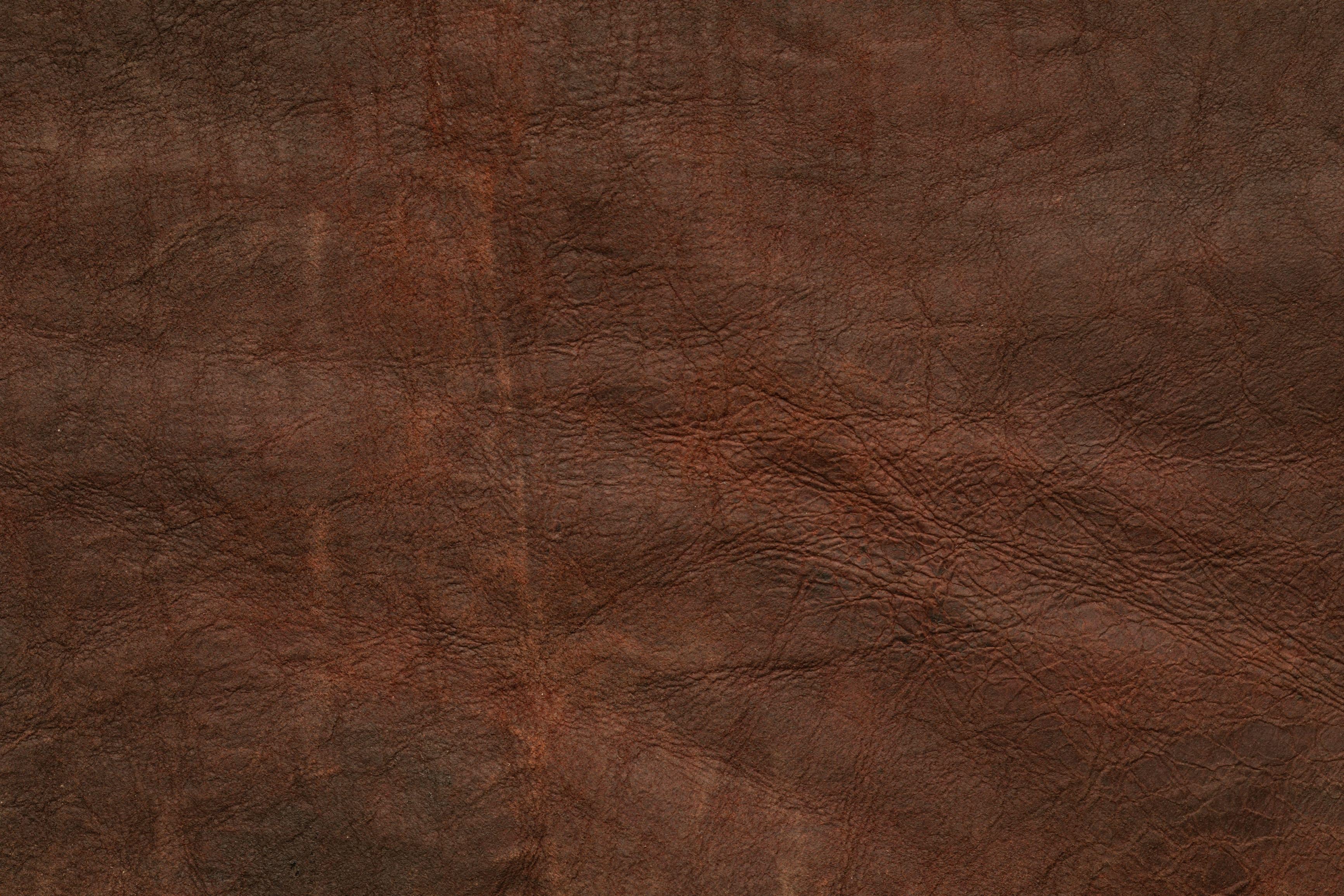 Cognac Leather wallpaper in warm brown grained leather