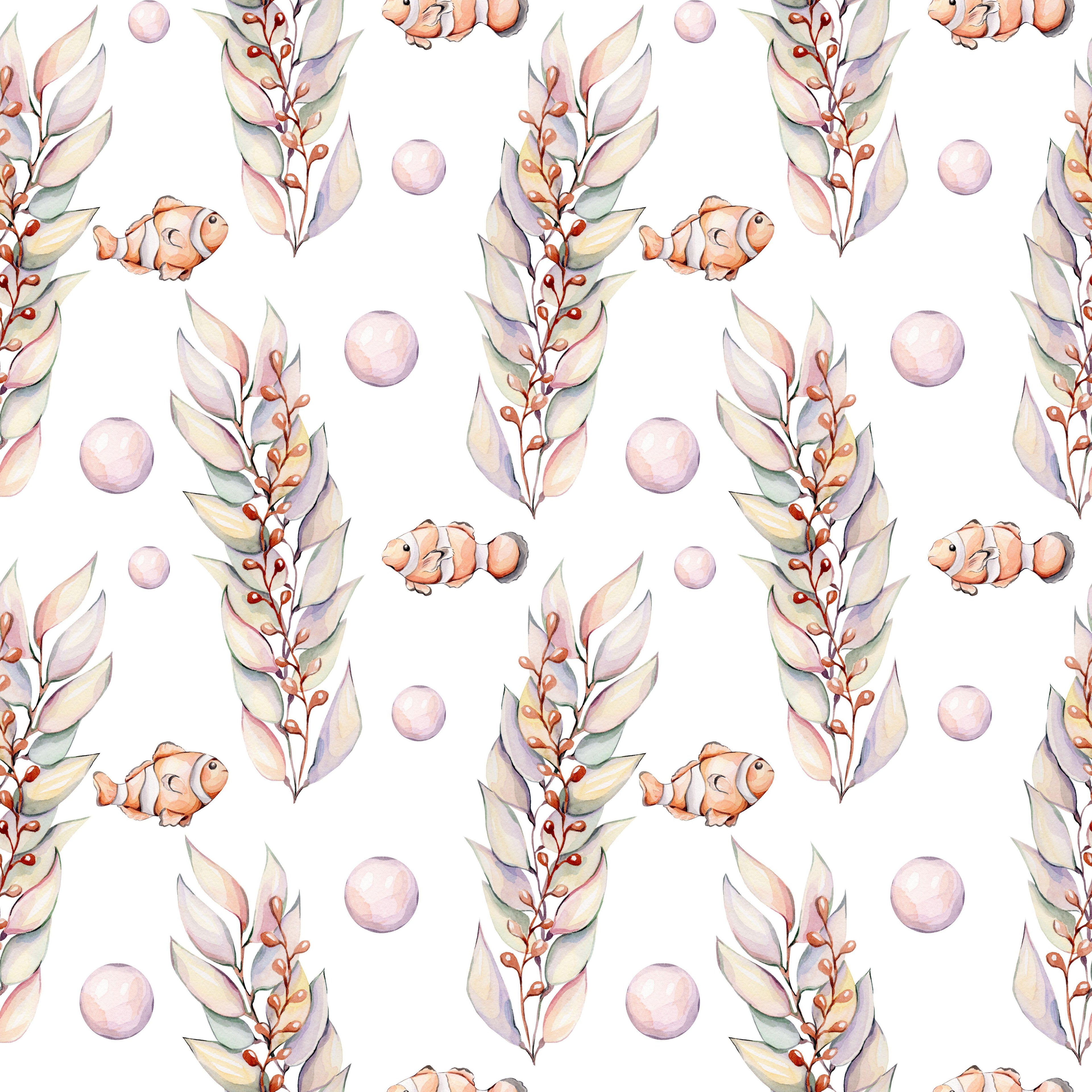 Coral Kelp