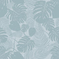 Misty Tropics