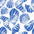 Coastal Shells